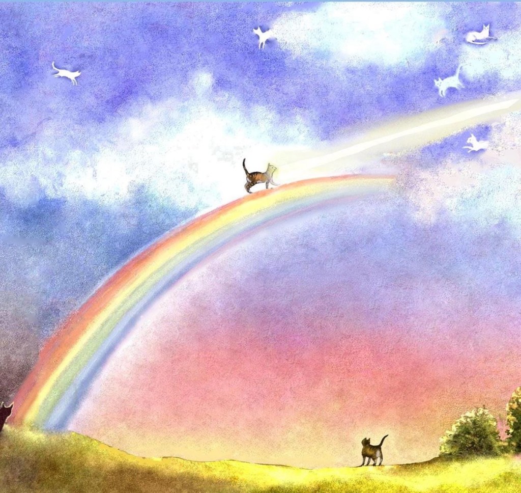 عودي يا ملاكي